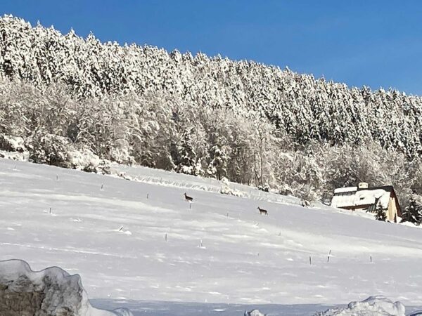 Caserne du SDIS Corrençon
